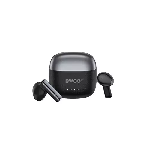 BWOO BO-BW41 BT 6.0 ENC Wireless Earbuds
