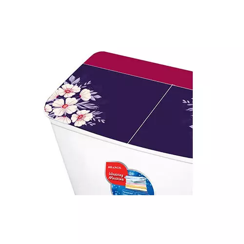 RANGS RW-9W-DD 9 KG Washing Machine - 1