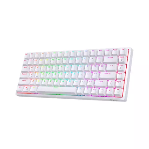 RK ROYAL KLUDGE RK84 RGB Wireless Mechanical Gaming Keyboard (Brown Switch)