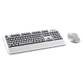 Rapoo V110 Backlit Gaming Keyboard & Optical Gaming Mouse Gaming Combo
