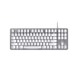 Razer BlackWidow Lite Silent & Compact Mechanical Gaming Keyboard Mercury White