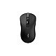 RAPOO B20 SILENT 2.4G WIRELESS OPTICAL MOUSE