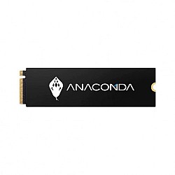 ANACOMDA I2 FIERY SERPENT M.2 256GB NVME SSD