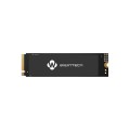 BIWINTECH NX500 1TB PCIE M.2 NVME SSD