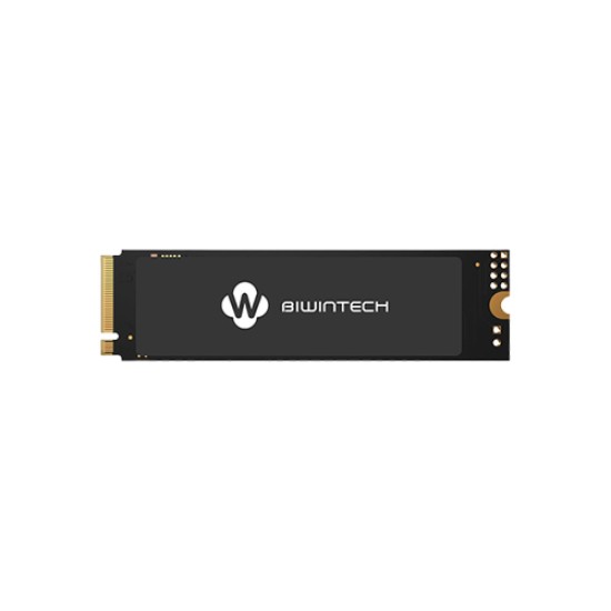 BIWINTECH NX500 256GB PCIE M.2 NVME SSD