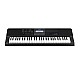 CASIO CT-X870IN 61-KEY PORTABLE MUSICAL KEYBOARD WITH AC ADAPTOR