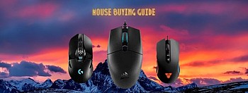 Mouse buying guide