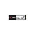 XOC G300 256GB PCIe 3.0 NVMe SSD