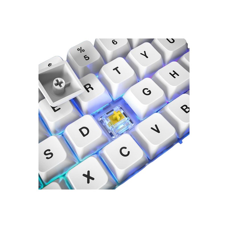 Montech MK87FR MKey TKL Keyboard Price In Bd | Techland Bd